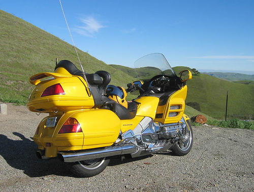 Goldwing  1 - 30 - 2005  b
