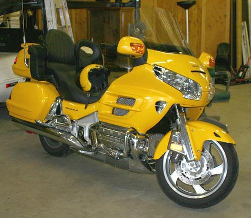 Goldwing web photo