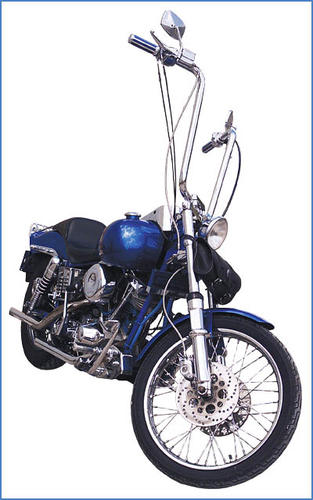 WILD1-WO571 b