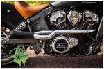 Indian Scout