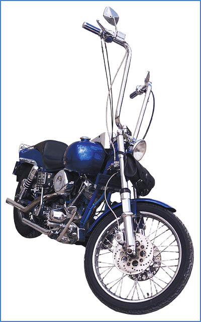 WILD1-WO571 b