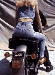 Saddlemen - TC-5111