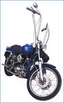 WILD1-WO571 b