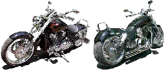 VTX_Transparent_Signature